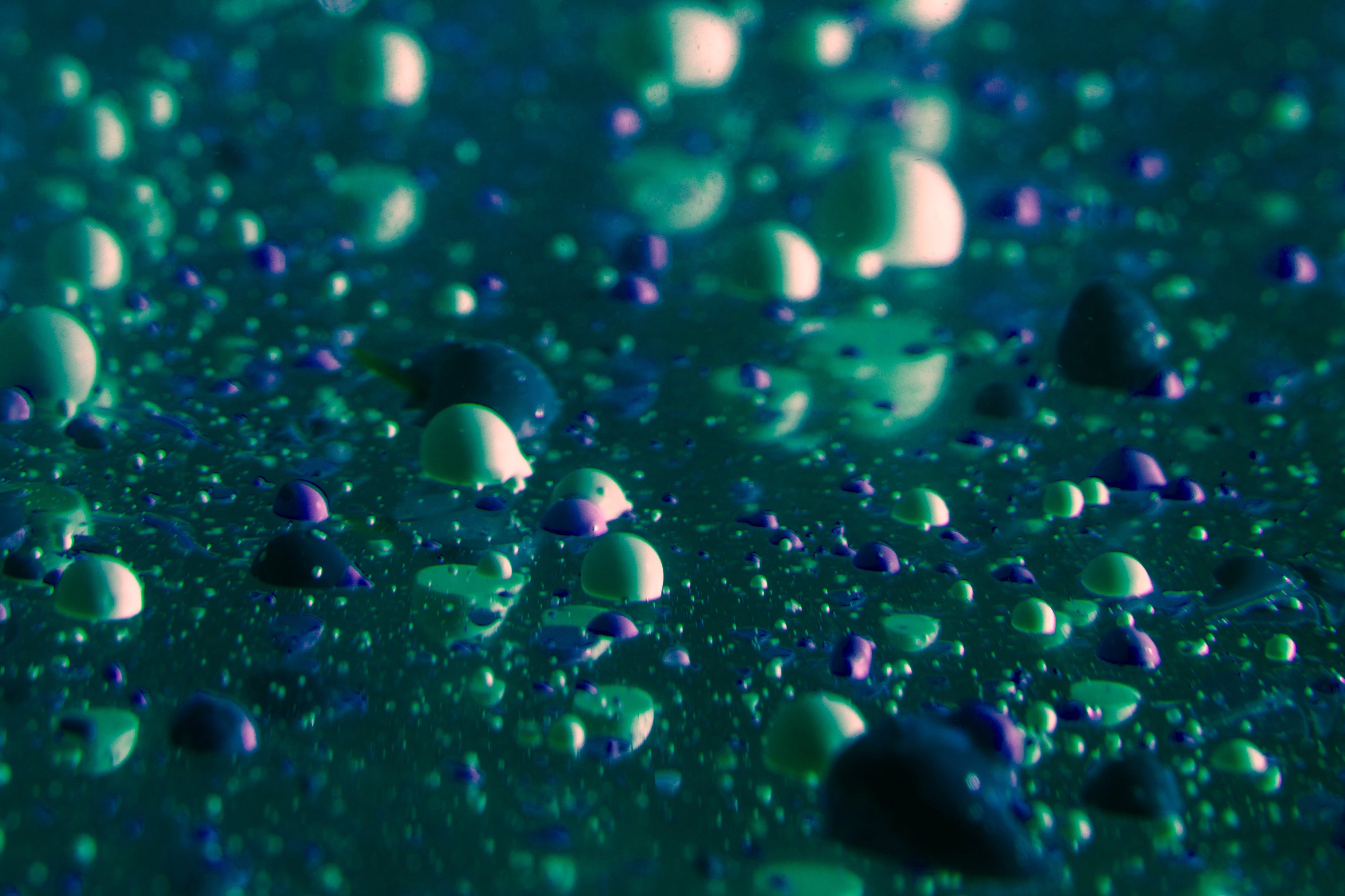 Petrichor and the Australian connection