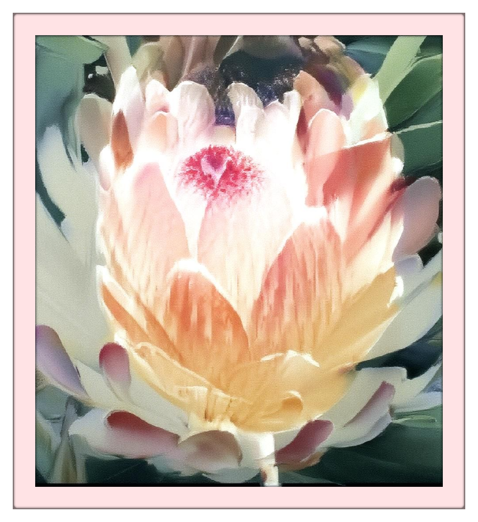 Pink Susara | The Essence of Welcome Luxurious Silk Shawl